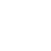 Logo Altai